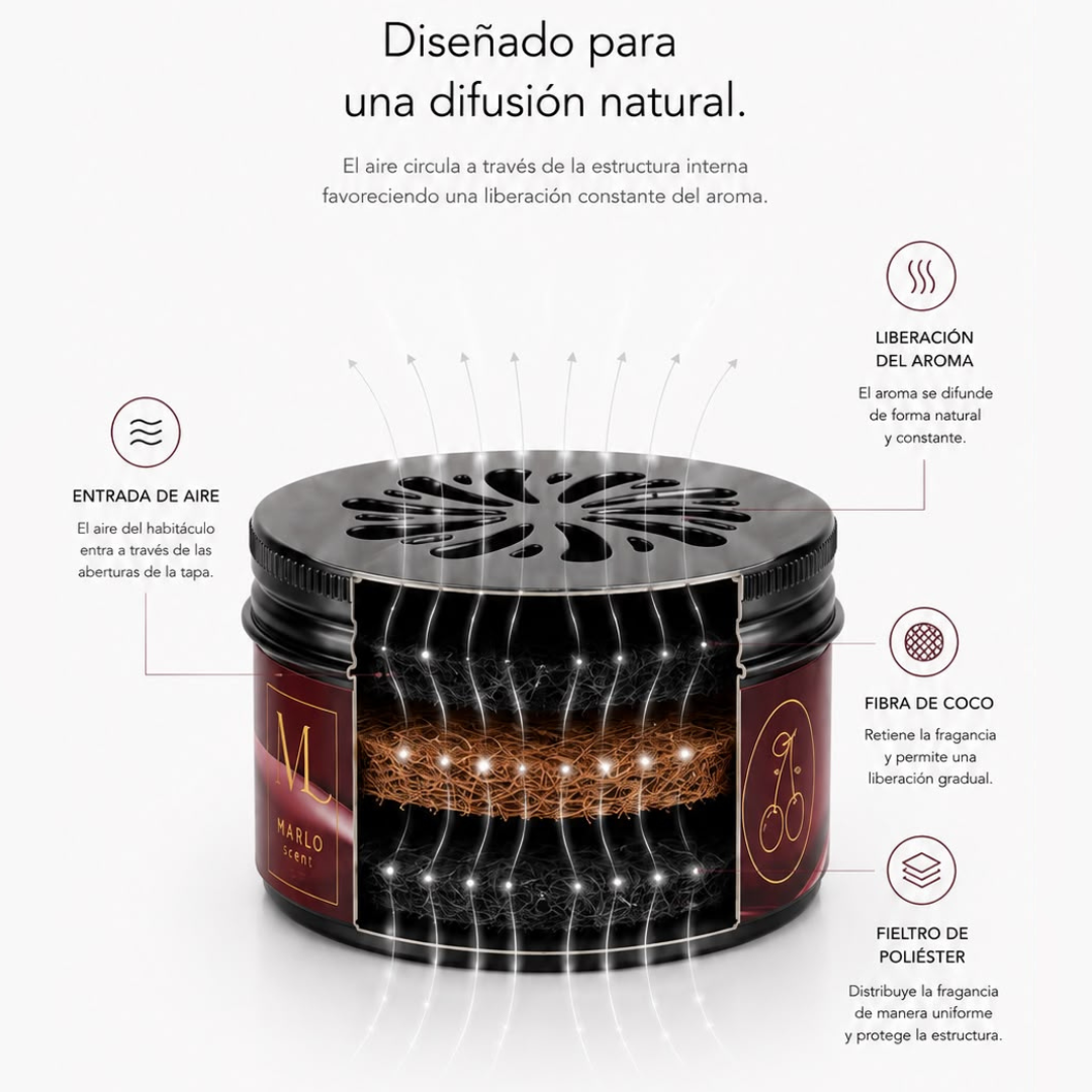 Cada capa, pensada para durar más.